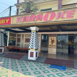 Vietnamese love karaoke