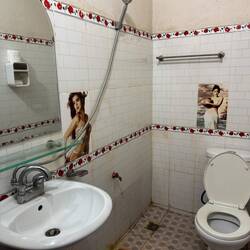 A slightly grim bathroom made jovial by some sexy lady pics