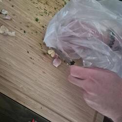 Knoblauch verarbeiten ohne Knobipresse und gleichzeitig 3 Tage stinkende Hände vermeiden😂