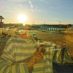 Am Frankfurter Flughafen✈️