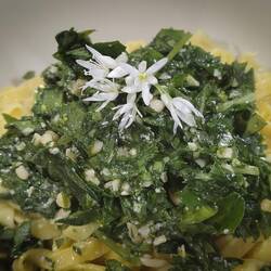 Vicky knocked up a wild garlic pesto while Will made vegan pasta with a hint of turmeric and paprika