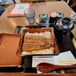 Unagi (=Aal)