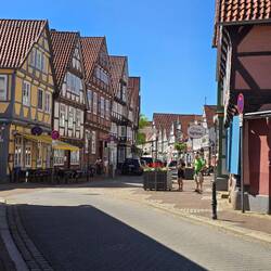 Celle