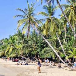 Der Strand von Punta Uva