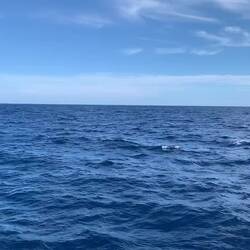 Umgeben von nichts als Wasser- so könnte es ewig dauern
