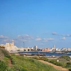 Looking back at Bari