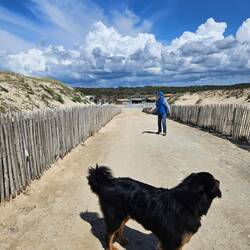 Der Weg zum Strand
