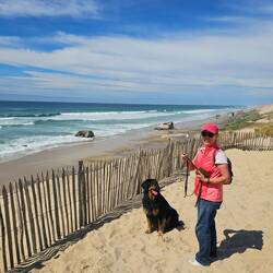 Blick zum Strand mit den alten Bunkern