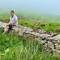 Bergpicknick im Nebel