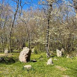 Slau's Stene