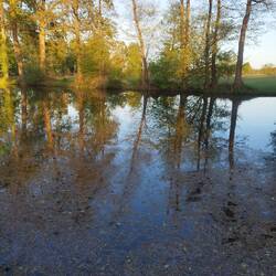 Abendstimmung
