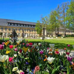 Das Schloss von Bayreuth