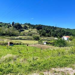 La façade ouest de l'île de Rab a des paysages complètement différents du reste de l'île