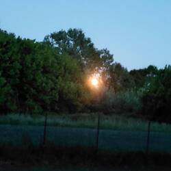 da ist der Vollmond
