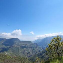 The gorge! Ft. Insect flying