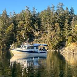 C-Traveler anchored and stern tied to shore.