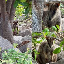 Yes, we got pretty close to them
