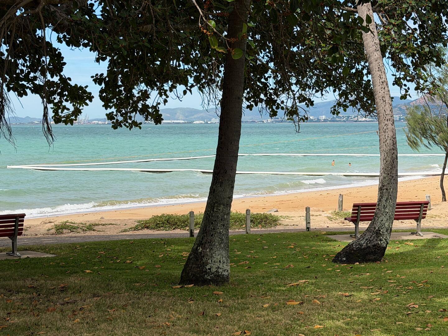 SWIM within here unless you want to see jellyfish or crocs