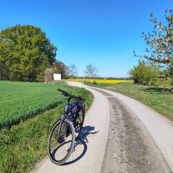 Der Weg kurz nach Egeln