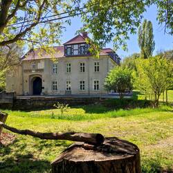 Schloss in Athensleben