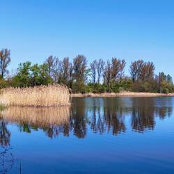 Lödeburger See