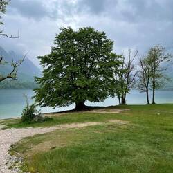 Bohinj See