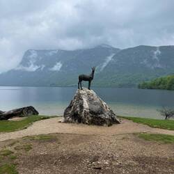 Bohinj See