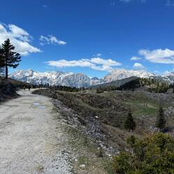 Velika Planina