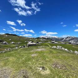 Velika Planina