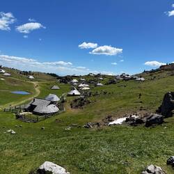 Velika Planina