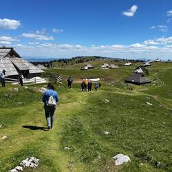 Velika Planina