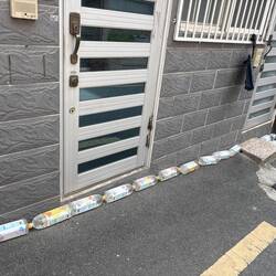 Die mit Wasser gefüllten Petflaschen reflektieren das Licht und halten Katzen fern.