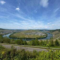 Moselschleife bei Trittenheim