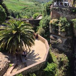 Jardines de Cuenca