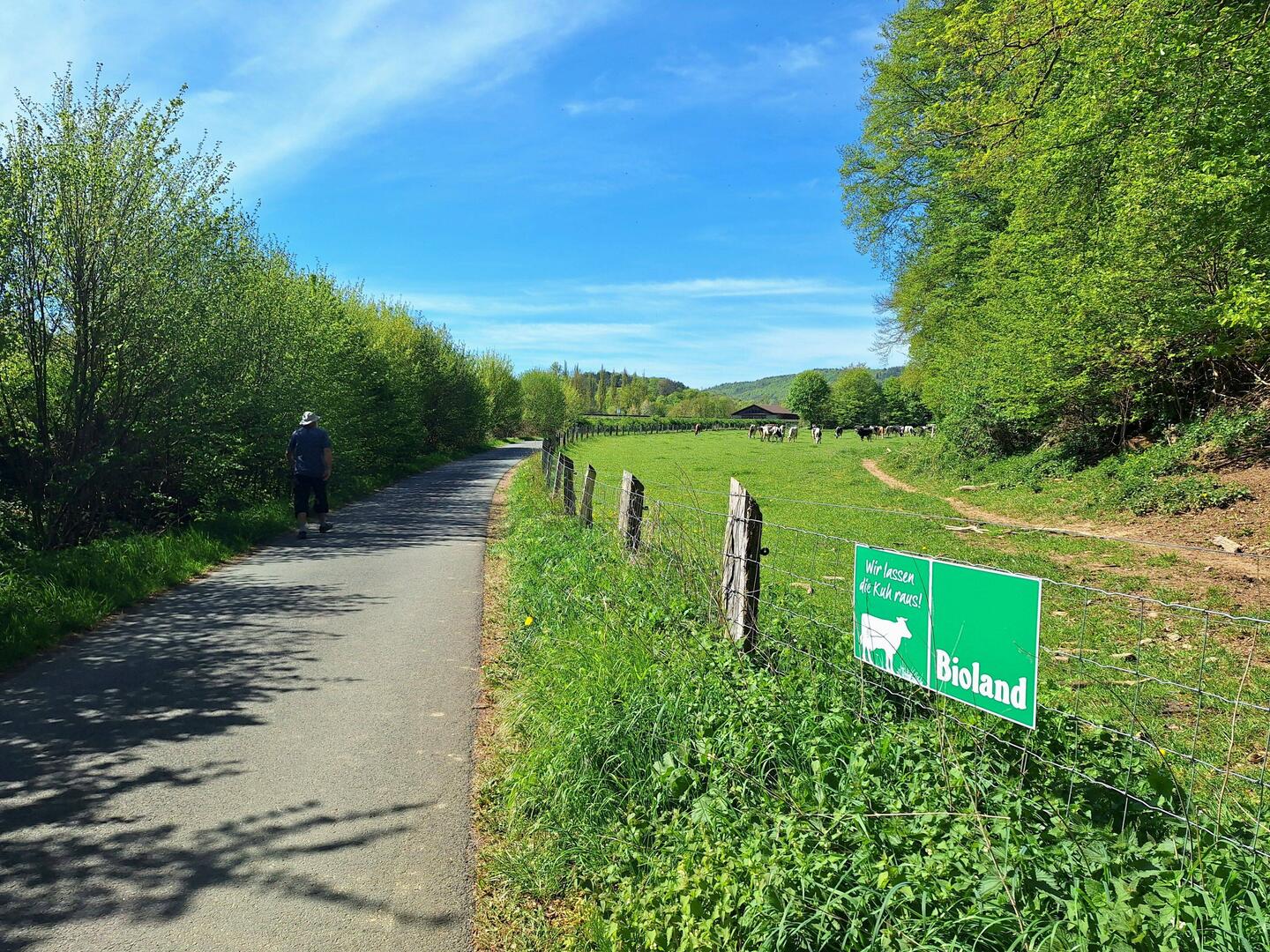 Wir lassen die 🐄 raus - Weg nach Schmittlotheim