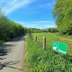 Wir lassen die 🐄 raus - Weg nach Schmittlotheim