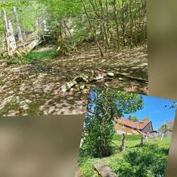 Impressionen aus Wald und Dorf