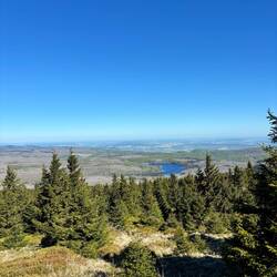 Ausblick auf die Eckertalsperre