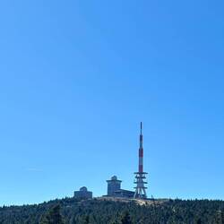 Das Ziel fest im Blick