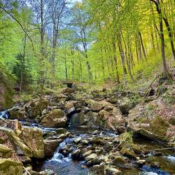 Im wildromantischen Ilsetal