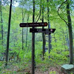 Aufstieg über den Heinrich-Heine-Weg
