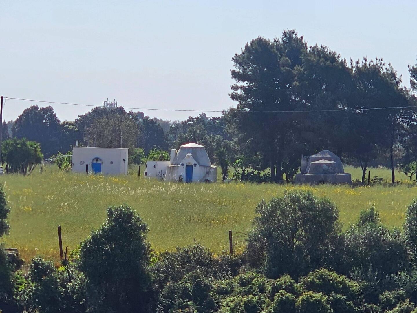Some Trulli