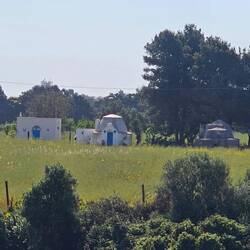 Some Trulli