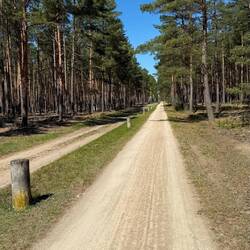 Dahme Radweg