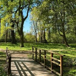 Schlosspark
