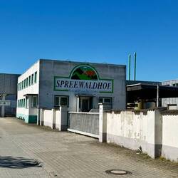 Golßen, die Heimat der Spreewaldgurke
