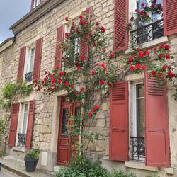 Back street