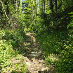 Wanderweg