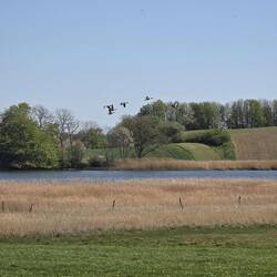 Kurzer Blick auf die Schlei