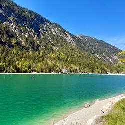 Plansee